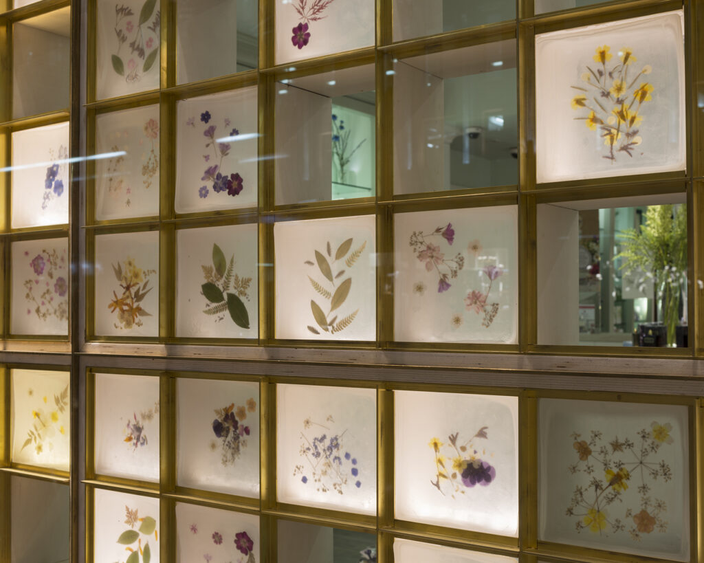 Interactive lighting design by MGS